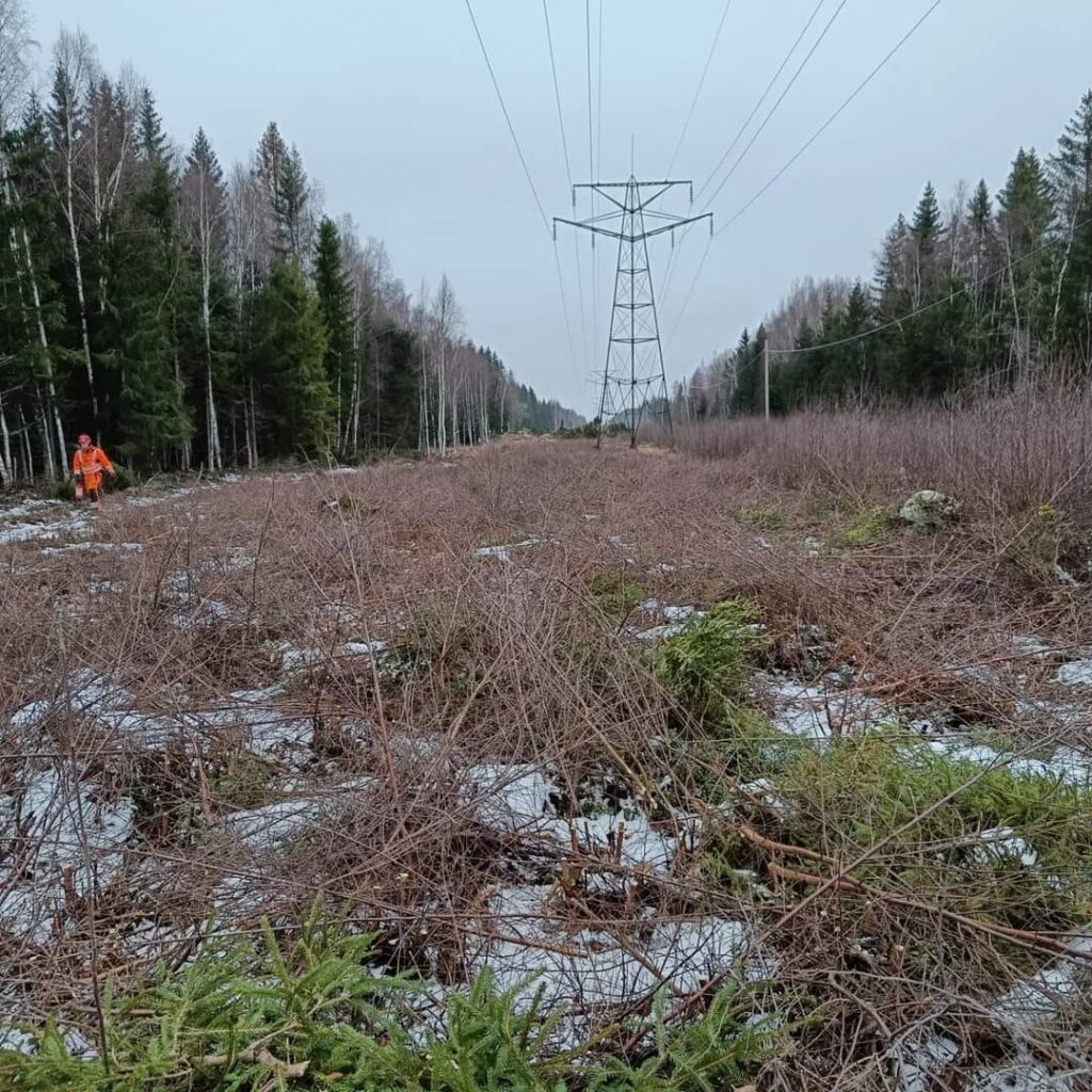 Kraftlednings röjning